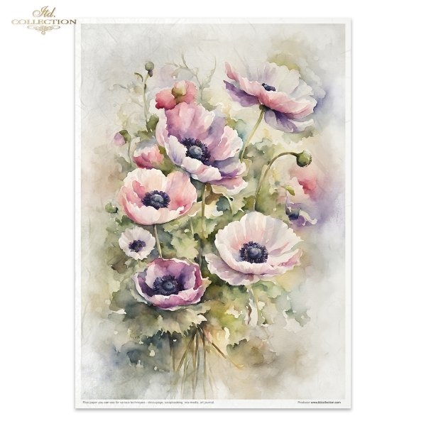 Conjunto Creativo RP074 - Summer Bouquet