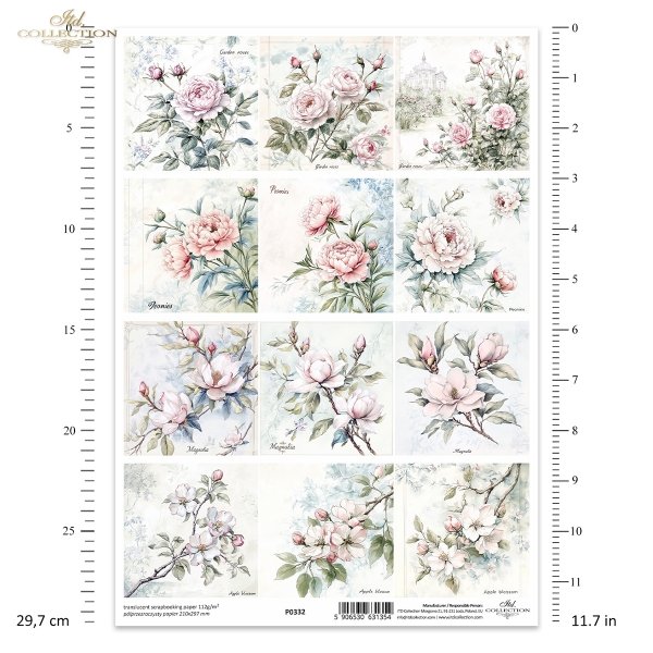 roze, peonie, kwiaty jabloni, magnolia*flowers, roses, peonies, apple blossoms, magnolia*Blumen, Rosen, Pfingstrosen, Apfelblüten, Magnolien*flores, rosas, peonías, manzanos en flor, magnolias