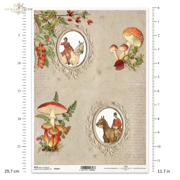 frame, frames, mushroom,  mushroom picking, toadstool, horse, hunt, riders in hunting costumes, hunting, Rahmen, Jagd, Pilze, Pferd, Reiter in Jagdkostümen, Jagd, Jagen, Pilze sammeln, Fliegenpilz, marco, marco, caza, setas