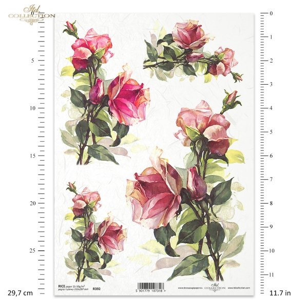 rose, roses, flower, flowers, bouquet, bouquets, R392