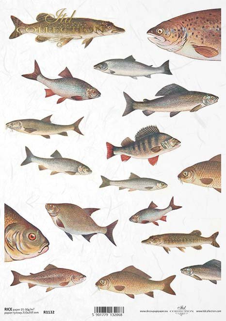decoupage peces de papel*decoupage paper fish*Decoupage Papier Fisch