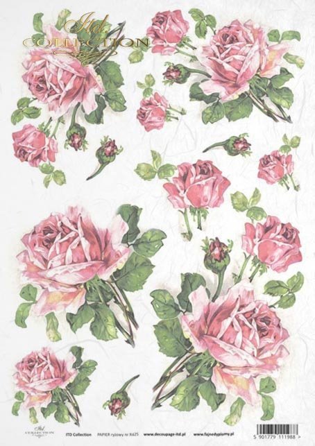 rose, roses, flower, flowers, bouquet, bouquets, R425