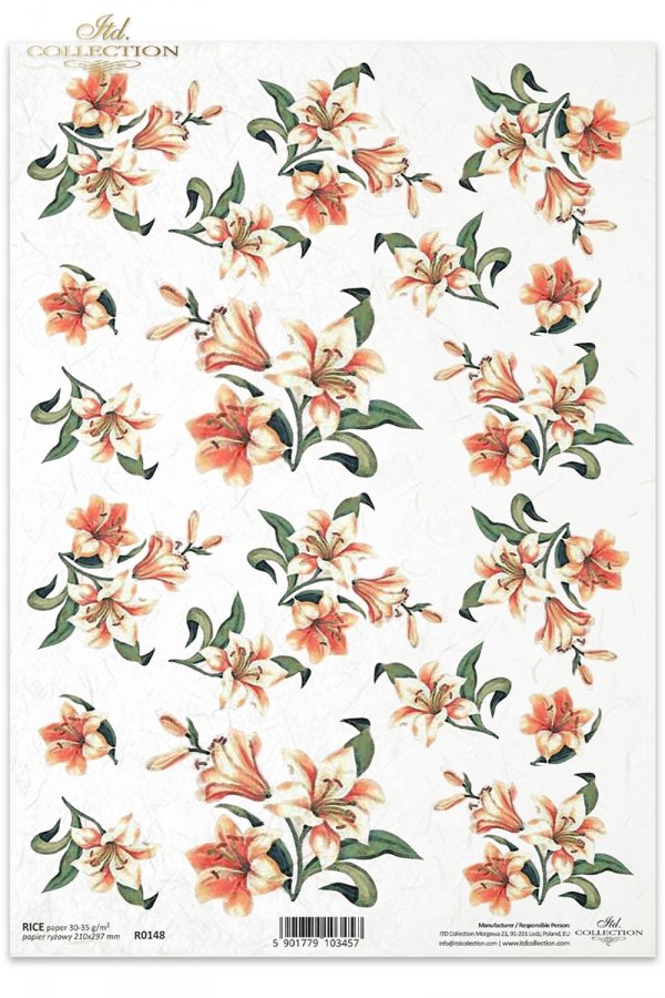 kwiat, kwiaty, lilia, lilie. lilii, ogród, R148, flores, blanco - lirios naranjas , Blumen, weiß - orange Lilien , lilie, lilies, flower, flowers, meadow, garden