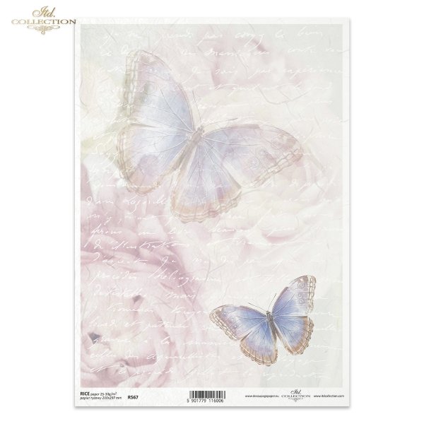 motyl, owad, kolor, pastele, pastelowy, pastelowa, tło, ręczne pismo, list, kartka pocztowa, kwiaty, kwiatowe tło, tło z kwiatami, R567, butterfly, insect, colour, pastel, background, handwriting, letter, postcard, flowers, floral background, background w