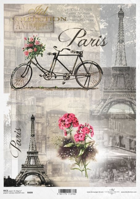 bike, tandem, Eiffel Tower, Paris, retro, bike for two, flowers, R499 