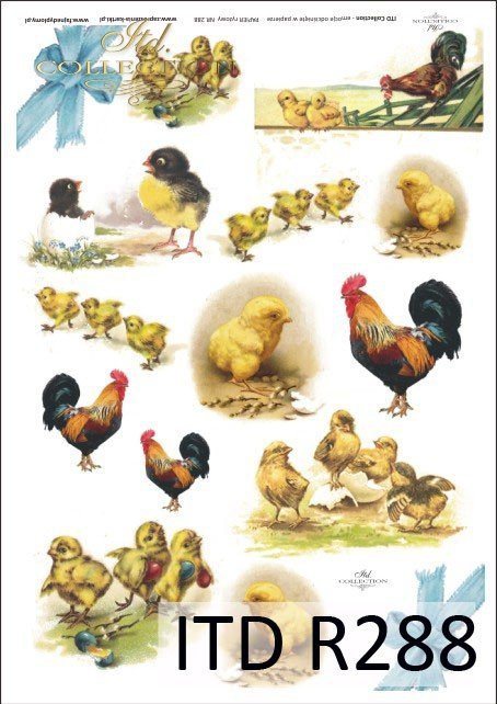 Wielkanoc, kurczaki, kurczaczki, kwiatki, wiosna, jajka, pisanki, R288