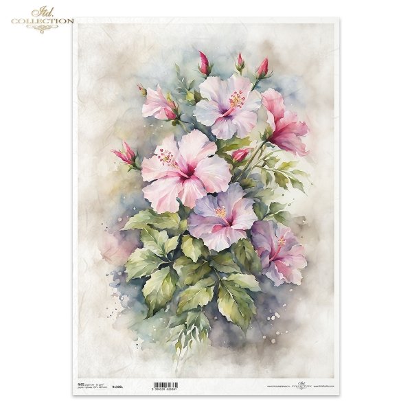 letnie kwiaty, bukiet kwiataów*Summer flowers, flower bouquet*Sommerblumen, Blumenstrauß*Flores de verano, ramo de flores 