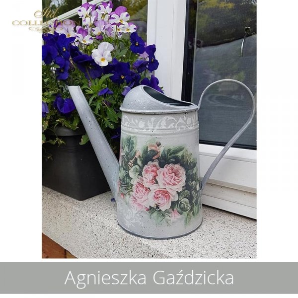 20190516-Agnieszka Gaździcka-R1209-example 03