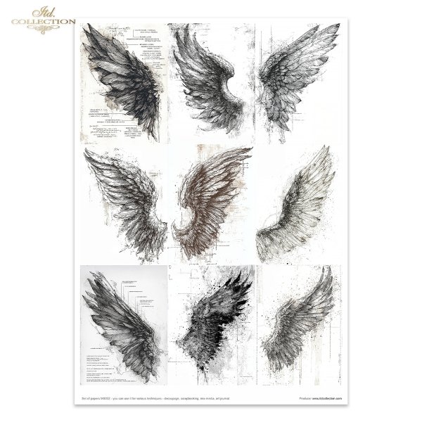 MS052 * Light &amp; Shadow part 2 - Światło i Cień