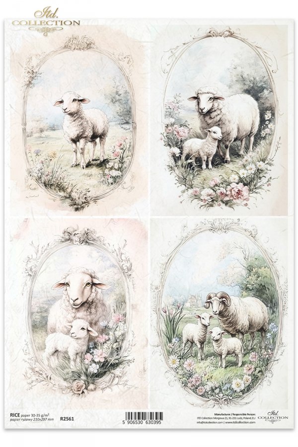 owce, wiejskie zwierzęta, wiosenne klimaty, rustykalny styl*sheep, countryside animals, springtime climate, rustic style*Schafe, Tiere auf dem Lande, Frühlingsklima, rustikaler Stil*ovejas,  animales de campo, clima primaveral, estilo rústico