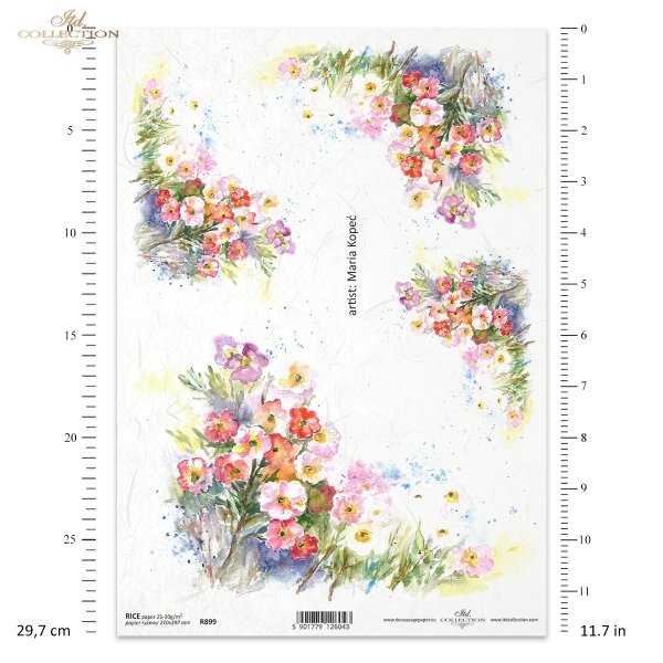 bratek, kolorowe bratki, kwiat, ogród, łąka, wiosna, autorka grafiki Maria Kopeć, R899, pansy, colourful pansies, flower, garden, meadow, spring, Stiefmütterchen, bunte Stiefmütterchen, Blume, Garten, Wiese, Frühling, pensamiento, pensamientos de colores,