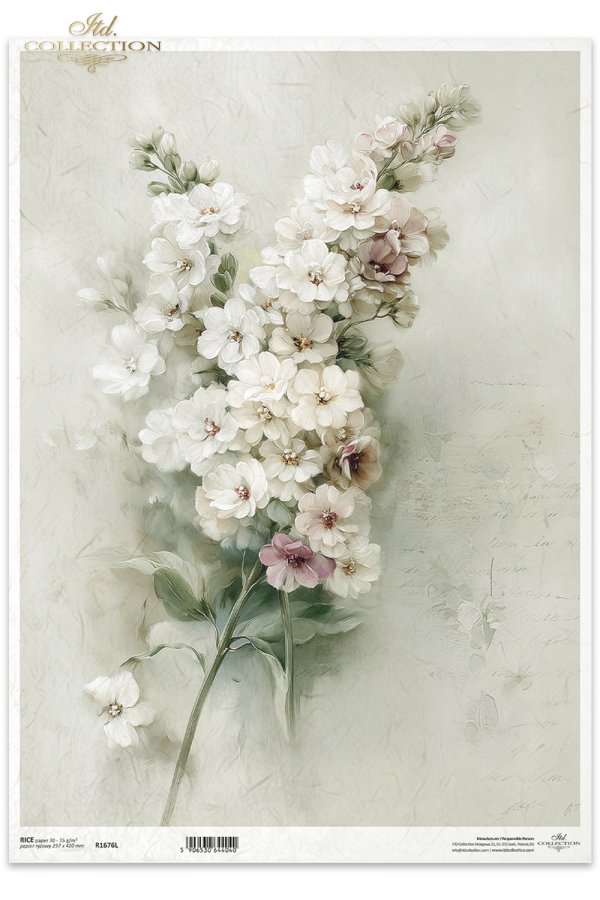 vintage, flora, bukiety, kwiaty, botanika. lewkonia