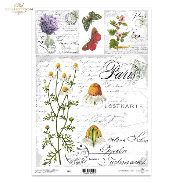 Rumianek, kwiaty, zioła*Chamomile, flowers, herbs*Kamille, Blumen, Kräuter*Manzanilla, flores, hierbas