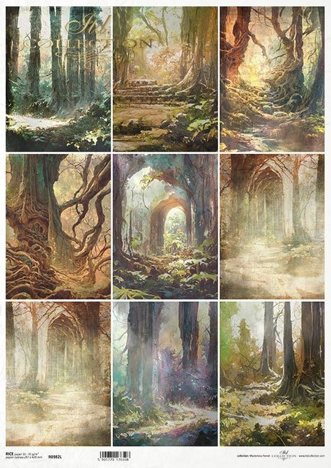 Mysterious forest - tajemniczy las * Mysterious forest * Mysteriöser Wald * Bosque misterioso