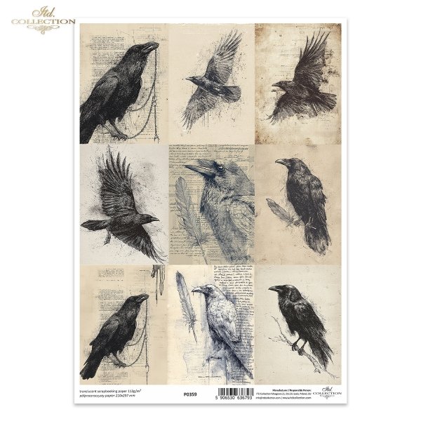 Grafiki, kruki, wrony, ptaki, szkice, czarno-białe*Graphics, ravens, crows, birds, sketches, black and white