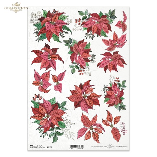 poinsecja, gwiazda betlejemska, kwiat, klimat Bożego Narodzenia, poinsettia, star of Bethlehem, flower, Christmas spirit, Weihnachtsstern, Stern von Bethlehem, Blume, Weihnachtsstimmung, poinsettia, estrella de Belén, flor