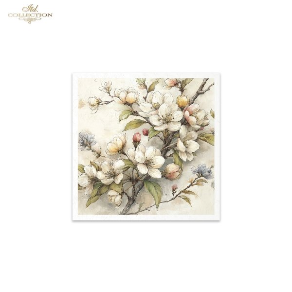 Zestaw papierów ryżowych (HS code 48021000) RSM243