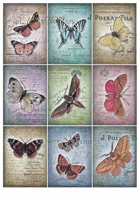 Papiery do scrapbookingu w zestawach - piękne motyle * Papiere für das Scrapbooking in den Sätzen - schöne Schmetterlinge