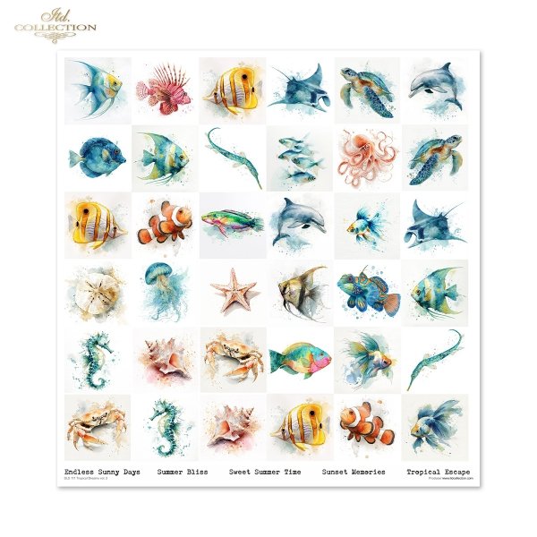 Zestaw do scrapbooking (HS code 48025890) SLS-111 Tropical Dreams vol. 2