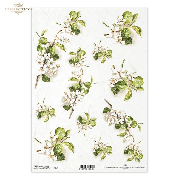 kwiat jabłoni, kwitnąca jabłoń, drzewo owocowe, wiosna, R678, apple blossom, blossoming apple tree, fruit tree, spring, Apfelblüte, blühender Apfelbaum, Obstbaum, Frühling, manzano en flor, manzano en flor, árbol frutal, primavera