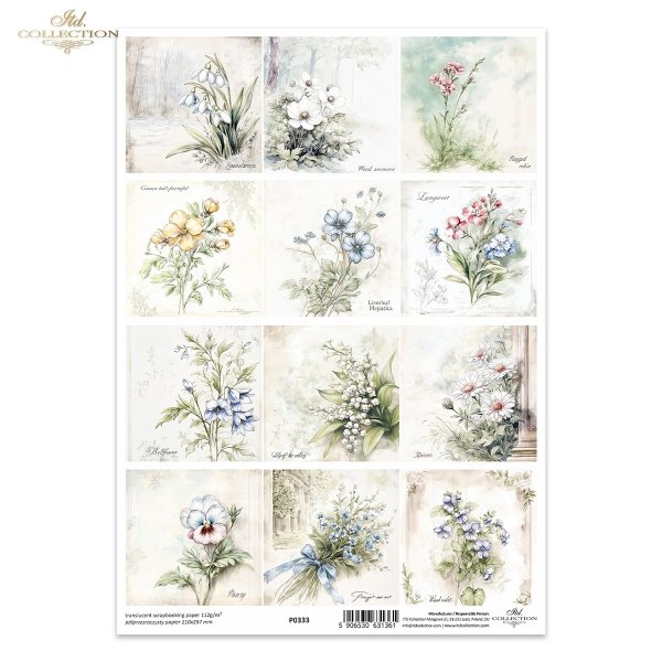 Przebiśnieg, zawilec, firletka Poszarpana, Komonica zwyczajna, Przylaszczka, Miodunka, dzwonek, konwalia, stokrotka, bratek, niezapominajka, fiołki*snowdrops, anemones, marsh comfrey, bird's-foot trefoil, hellebore, meadow foxtail, bellflower, lily of th