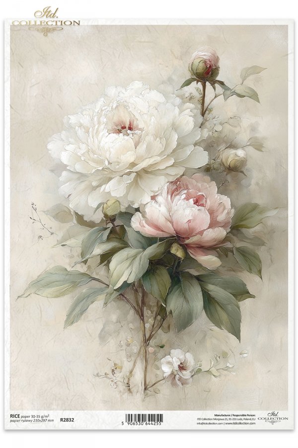 vintage, flora, bukiety, kwiaty, botanika, peonia