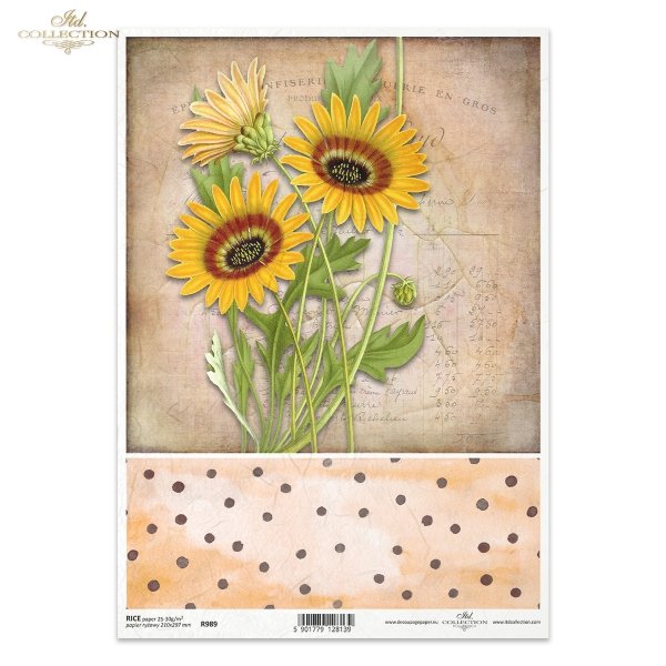 słonecznik, słoneczniki, kwiaty, ogród, łąka, lato, kropki, R989, sunflower, sunflowers, flowers, garden, meadow, summer, dots, Sonnenblumen, Blumen, Garten, Wiese, Sommer, Punkte, girasol, flores, jardín, prado, verano, lunares