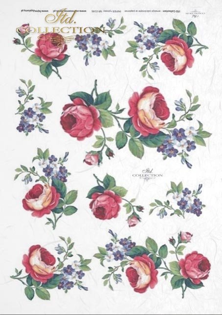 papier-decoupage-kwiaty-róża-niezapominajka-róże-niezapominajki-R0146