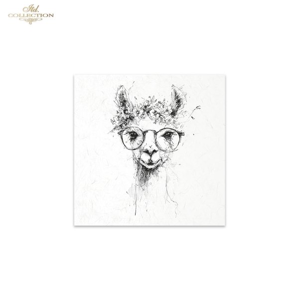 Zestaw papierów ryżowych (HS code 48021000) RSM254