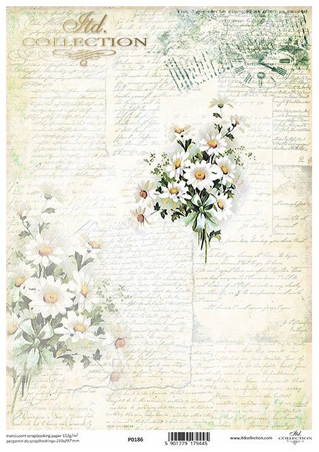 Seria Flower Post - White, Kwiatowa Poczta w bieli, rumianek*camomile*Kamille*manzanilla