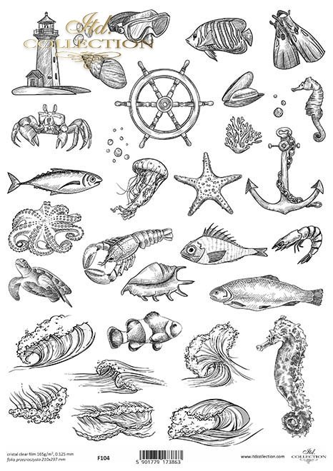 elementy morskie, muszle, ryby, kraby, latarnia morska, kotwica*sea elements, shells, fish, crabs, lighthouse, anchor*elementos marinos, conchas, peces, cangrejos, faro, ancla