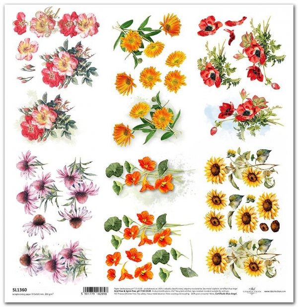 Seria Summer Love Story - kwiaty, echinacea, jeżówka, nasturcje, słoneczniki, maki, nagietki*flowers, echinacea, nasturtiums, sunflowers, poppies, marigolds