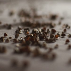Poduszka z łuską gryki, Ekologiczna, Limitowana