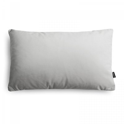 Velvet Grey Decorative Pillow 50x30