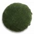 Rolo Round Green Decorative Cushion 45
