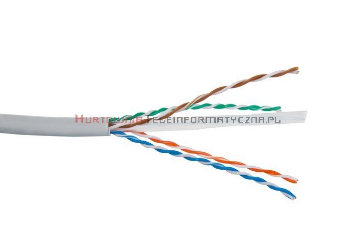 SecurityNET kabel U/UTP kat. 6, drut, PVC szary
