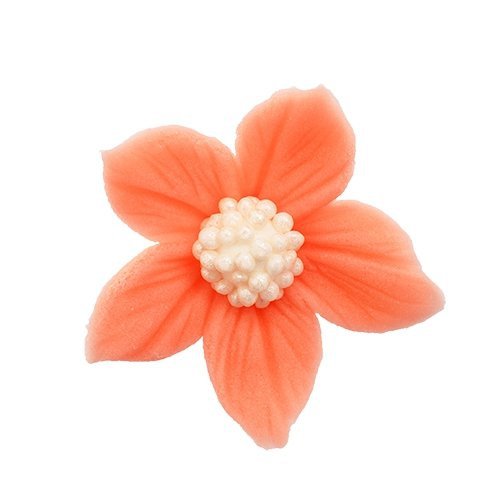 Płomyk łososiowy (3 x 10 szt)