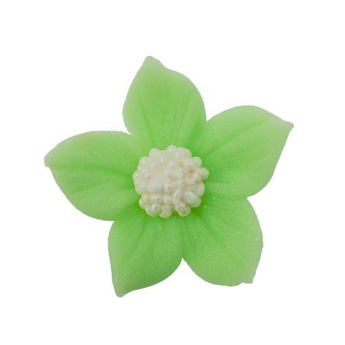 Płomyk seledynowy (3 x 10 szt)