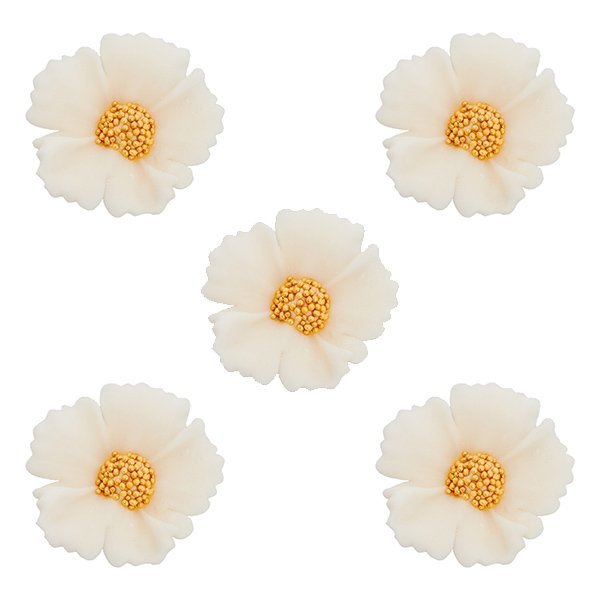 Duże kwiaty cukrowe na tort CHABER (6x5szt) ecru