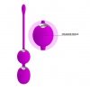 PRETTY LOVE - WILLIE USB remote control 12 function