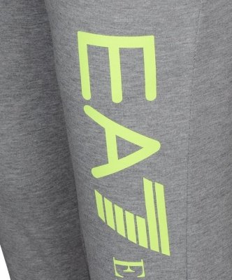 Spodnie męskie Emporio Armani EA7 duże logo szare