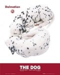 Psy Dalmatyńczyk - plakat