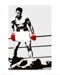Muhammad Ali (Rękawice) - reprodukcja