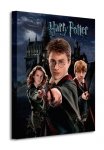 Obraz do sypialni - Harry Potter (Harry Ron Hermione)