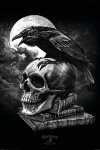 Plakat - Alchemy (Poe's Raven) - Kruk na czaszce