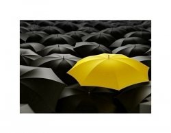 yellow umbrella - reprodukcja