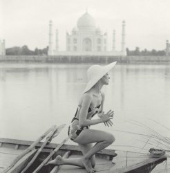 Taj Mahal, India - reprodukcja