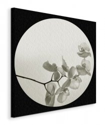 Orchid II - Obraz na płótnie