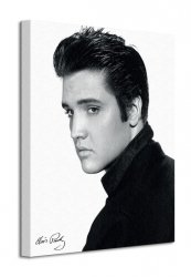 Obraz na płótnie - Elvis (Portrait) - 40x50 cm 
