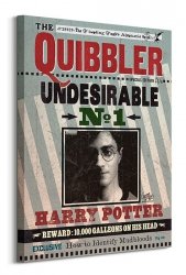 Harry Potter (Quibbler) - Obraz na płótnie